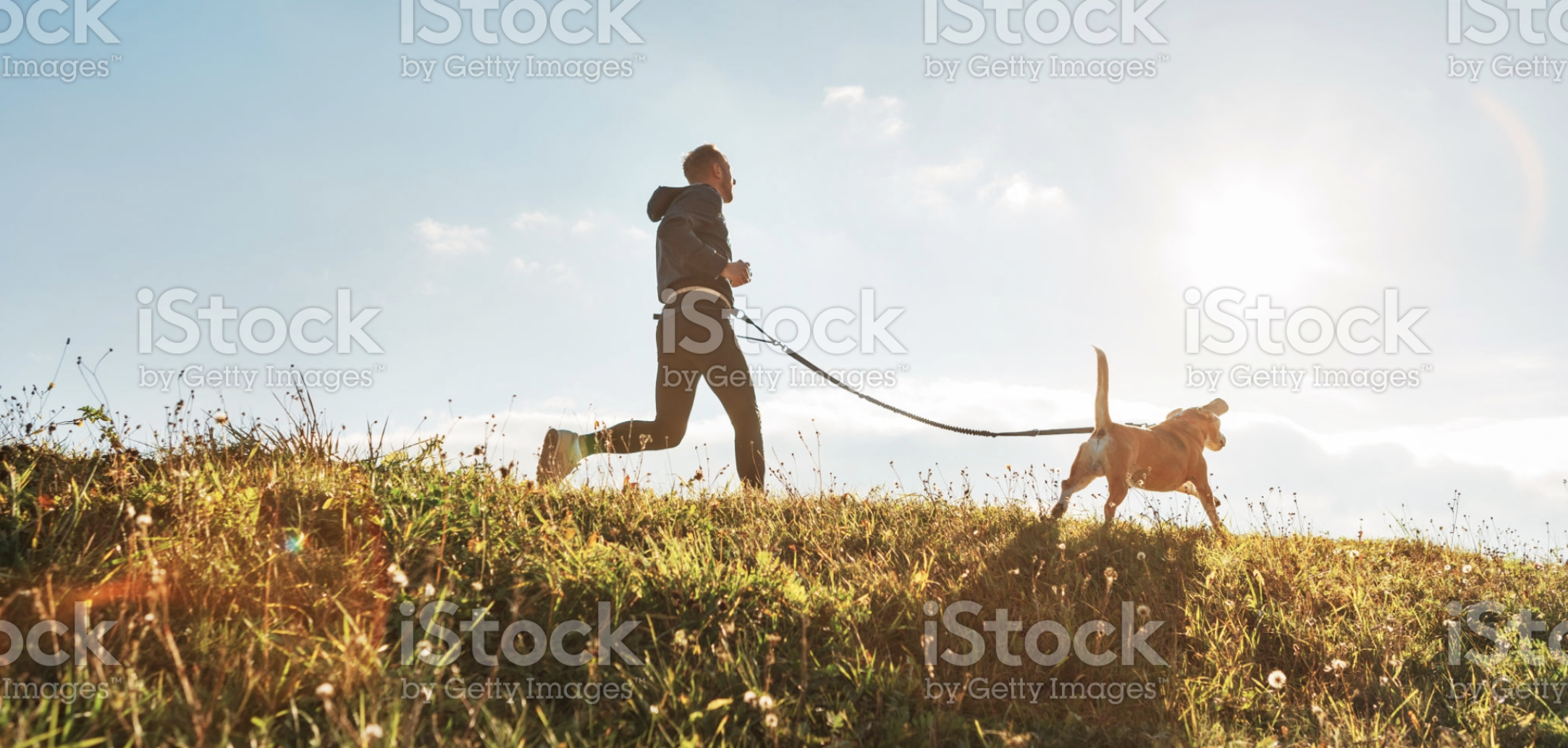 Screenshot 2021-03-29 at 14.22.03